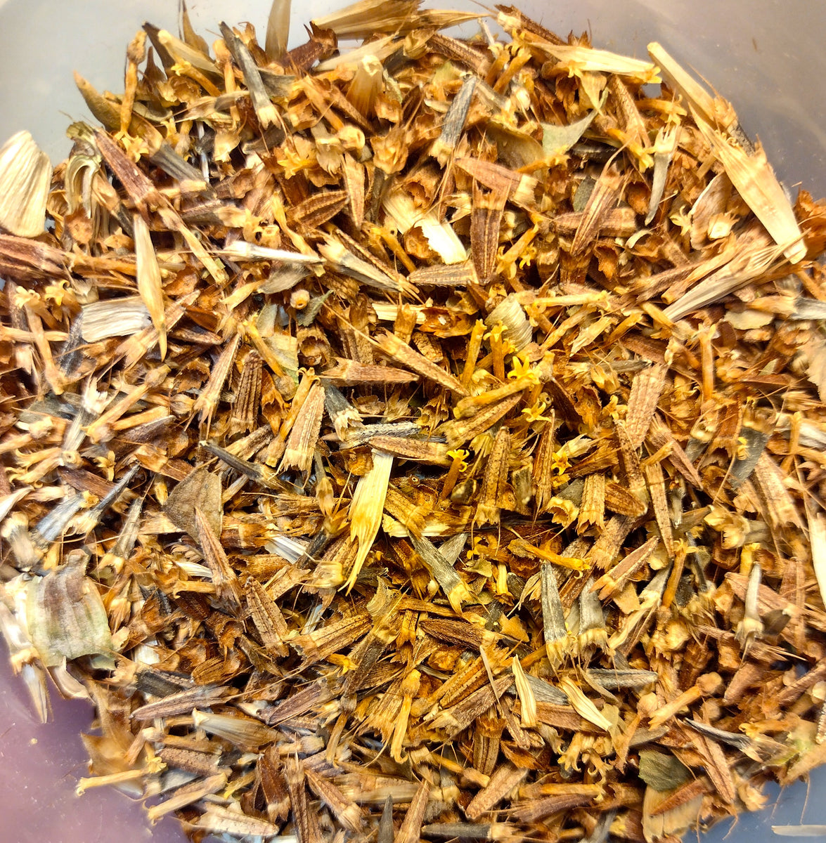 Red Sunflower Seed Sagebrush Butterflies