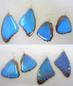 Blue Morpho Butterfly Resin Earrings