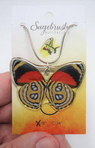 Callicore Butterfly Resin Necklace