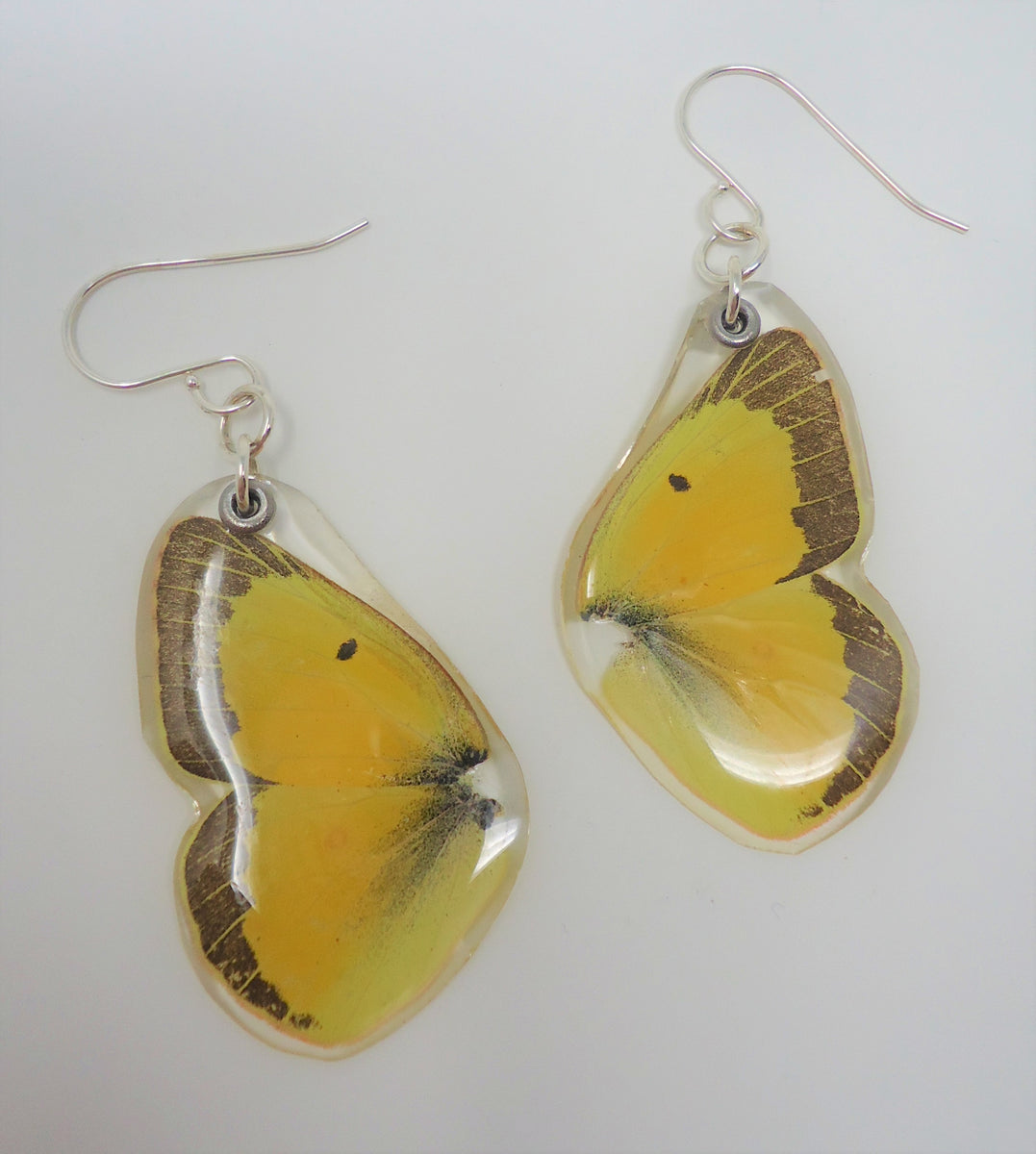 Yellow Metal Butterfly Fish Hook Earrings – BBJewelry