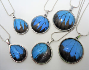 Blue Mountain Swallowtail Pendant Necklace