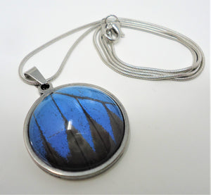 Blue Mountain Swallowtail Pendant Necklace
