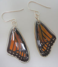 Viceroy Butterfly Resin Earrings