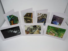 Picture Note Cards