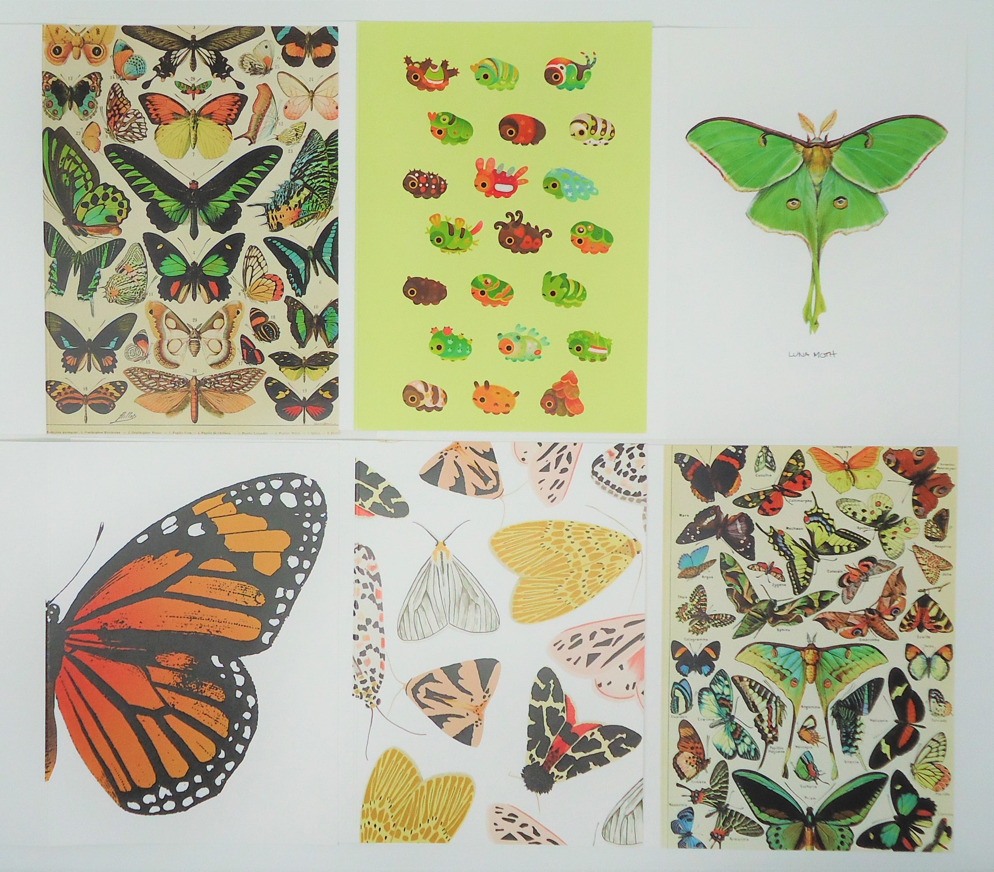 Products Page 3 Sagebrush Butterflies