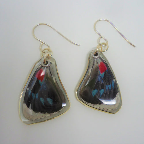 Vague Numberwing Butterfly Resin Earrings