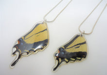 Western and Two Tailed Swallowtail Butterfly Resin Necklace