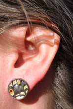Anise Swallowtail Post Earrings