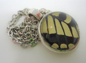 Oregon Swallowtail Double Sided Pendant Necklace