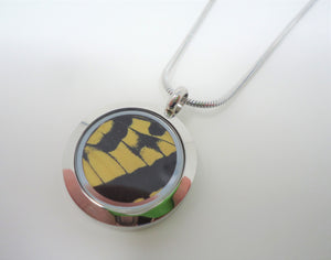 Western Tiger Swallowtail Locket