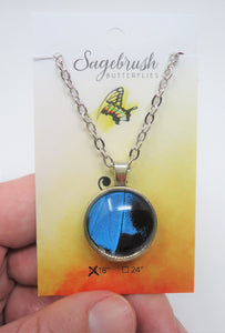 Blue Mountain Swallowtail Double Sided Pendant Necklace
