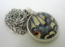 Anise Swallowtail Double Sided Pendant Necklace
