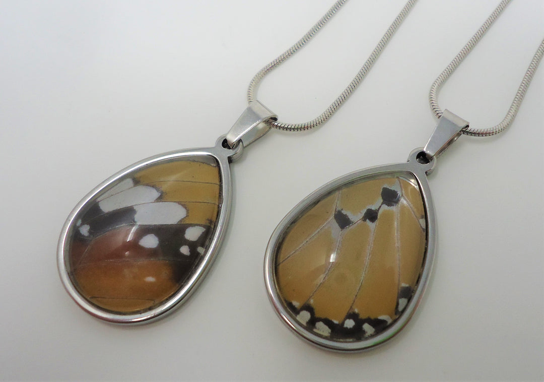 Products Sagebrush Butterflies