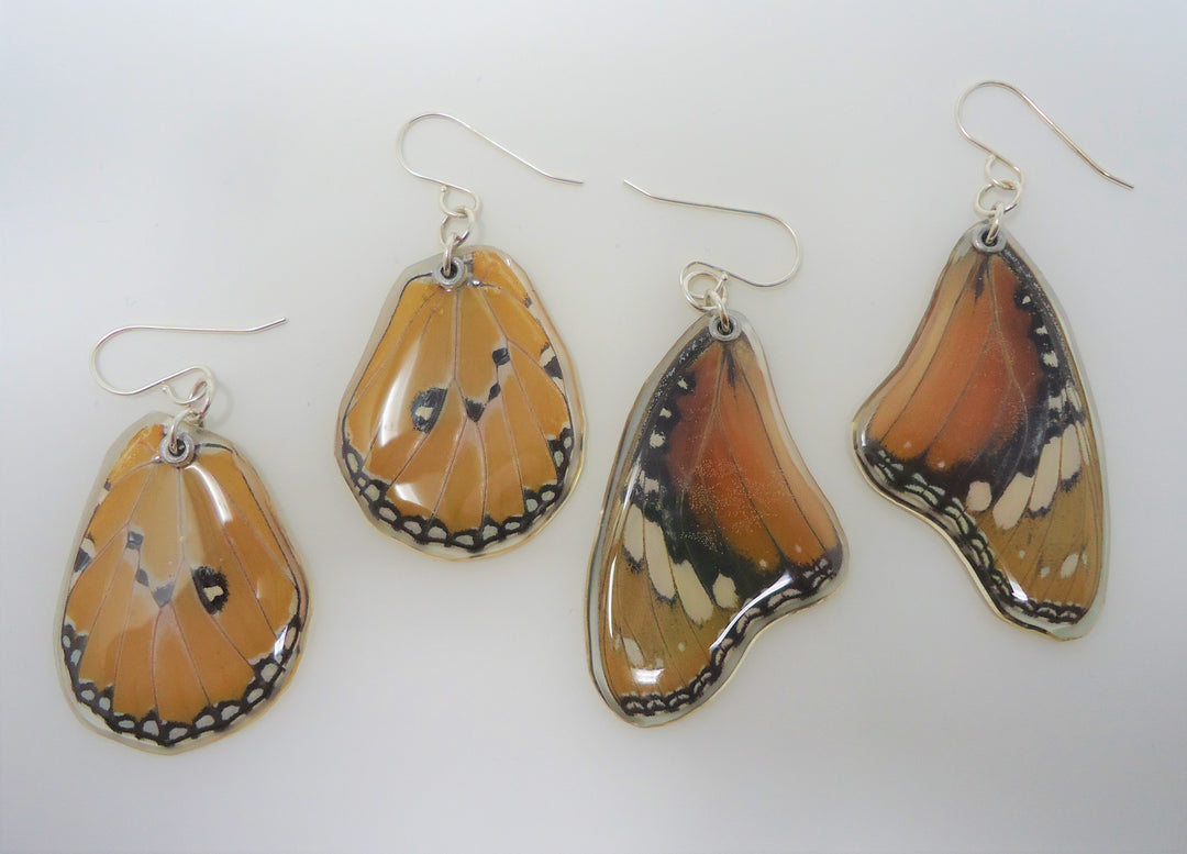 Products Sagebrush Butterflies