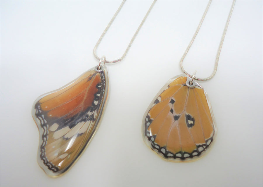 Products Sagebrush Butterflies