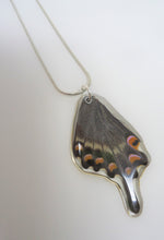 Alpine Black Swallowtail Butterfly Resin Wing Necklace