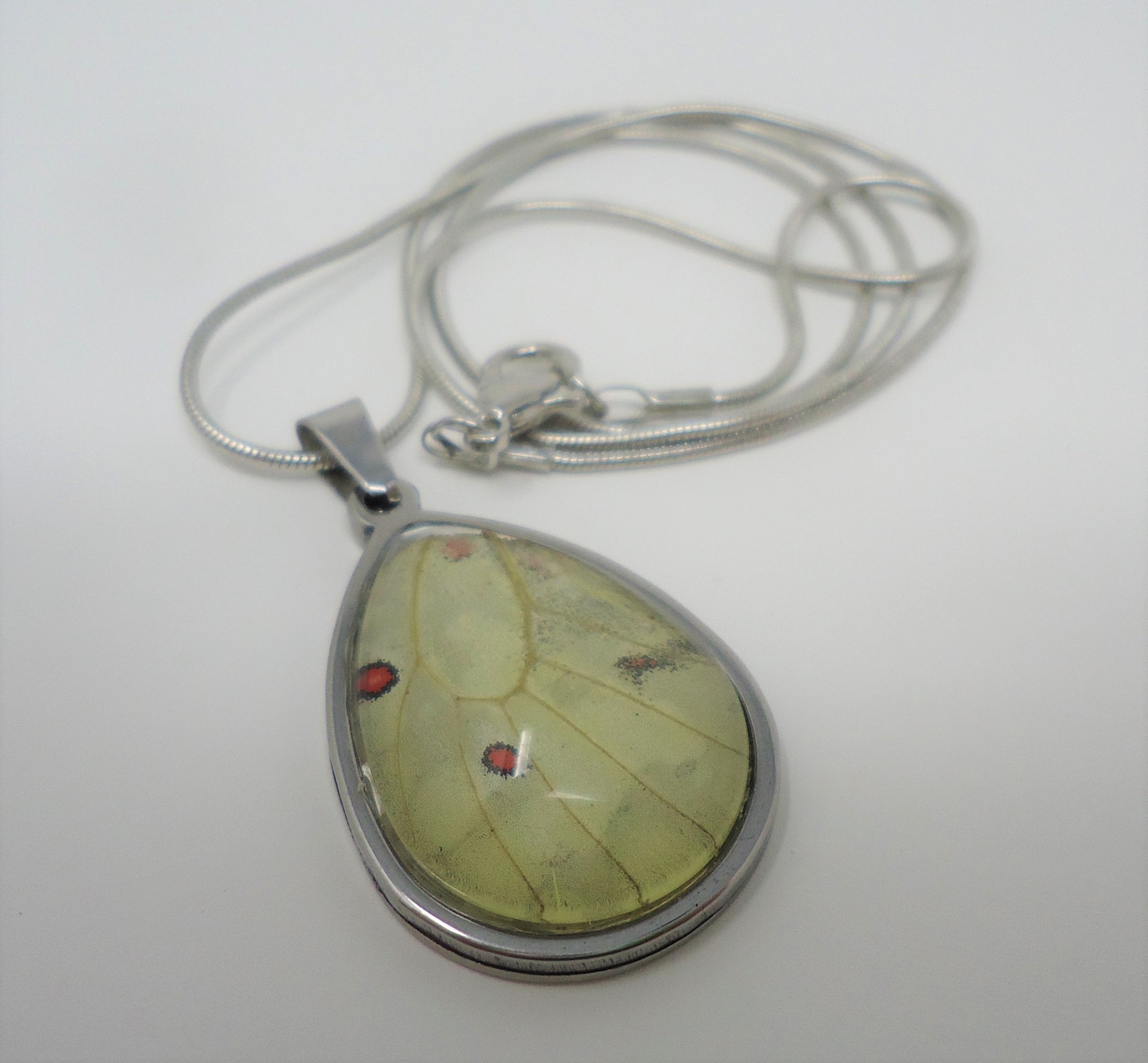 Products Page 2 Sagebrush Butterflies