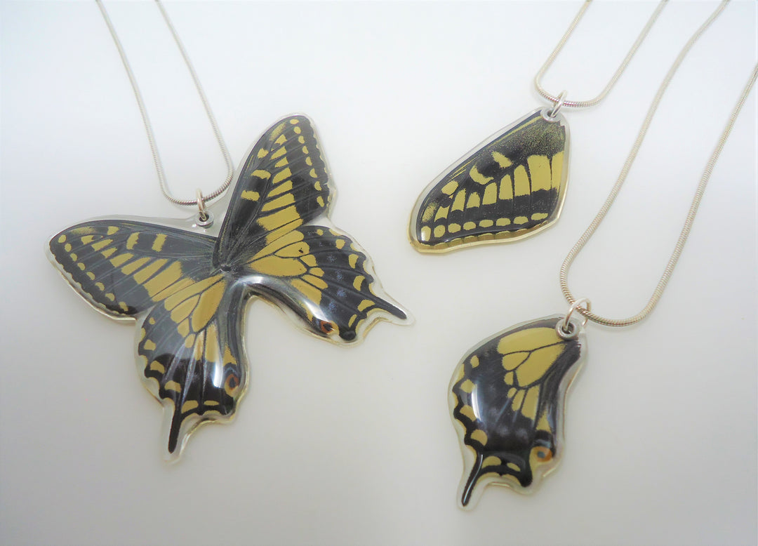 Products Page 2 Sagebrush Butterflies