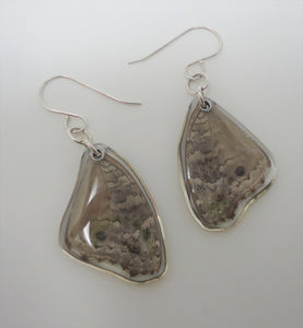 Brilliant Blue Butterfly Resin Earrings