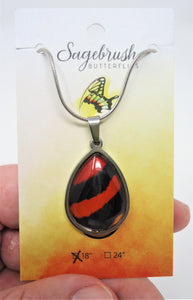 Callicore Butterfly Pendant Necklace