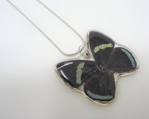 Cramer's 88 Butterfly Resin Necklace