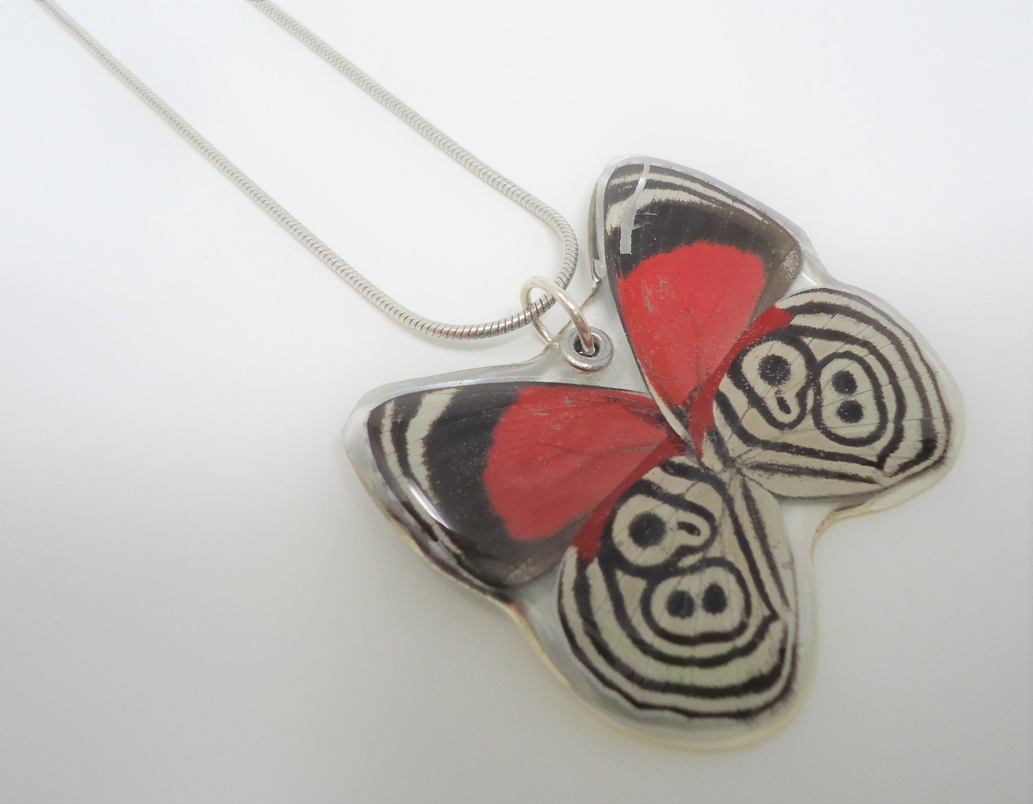 Products Page 8 Sagebrush Butterflies