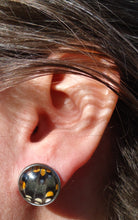 Black Swallowtail Post Earrings