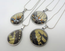 Eastern Tiger Swallowtail Pendant Necklace