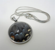 Eastern Tiger Swallowtail Pendant Necklace