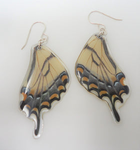 Eastern Tiger Swallowtail Resin Earrings