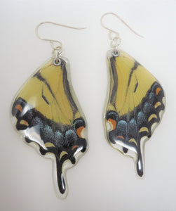 Eastern Tiger Swallowtail Resin Earrings