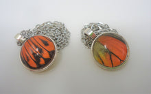 Fire Orange Tip Butterfly Double Sided Pendant Necklace