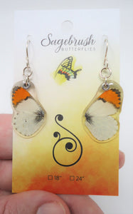 Julia's Orange Tip Butterfly Resin Earrings