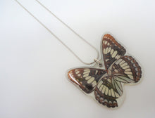 Lorquin's Admiral Butterfly Resin Necklace
