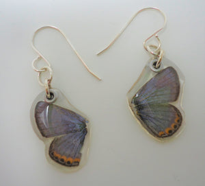 Lupine Blue Butterfly Resin Earrings