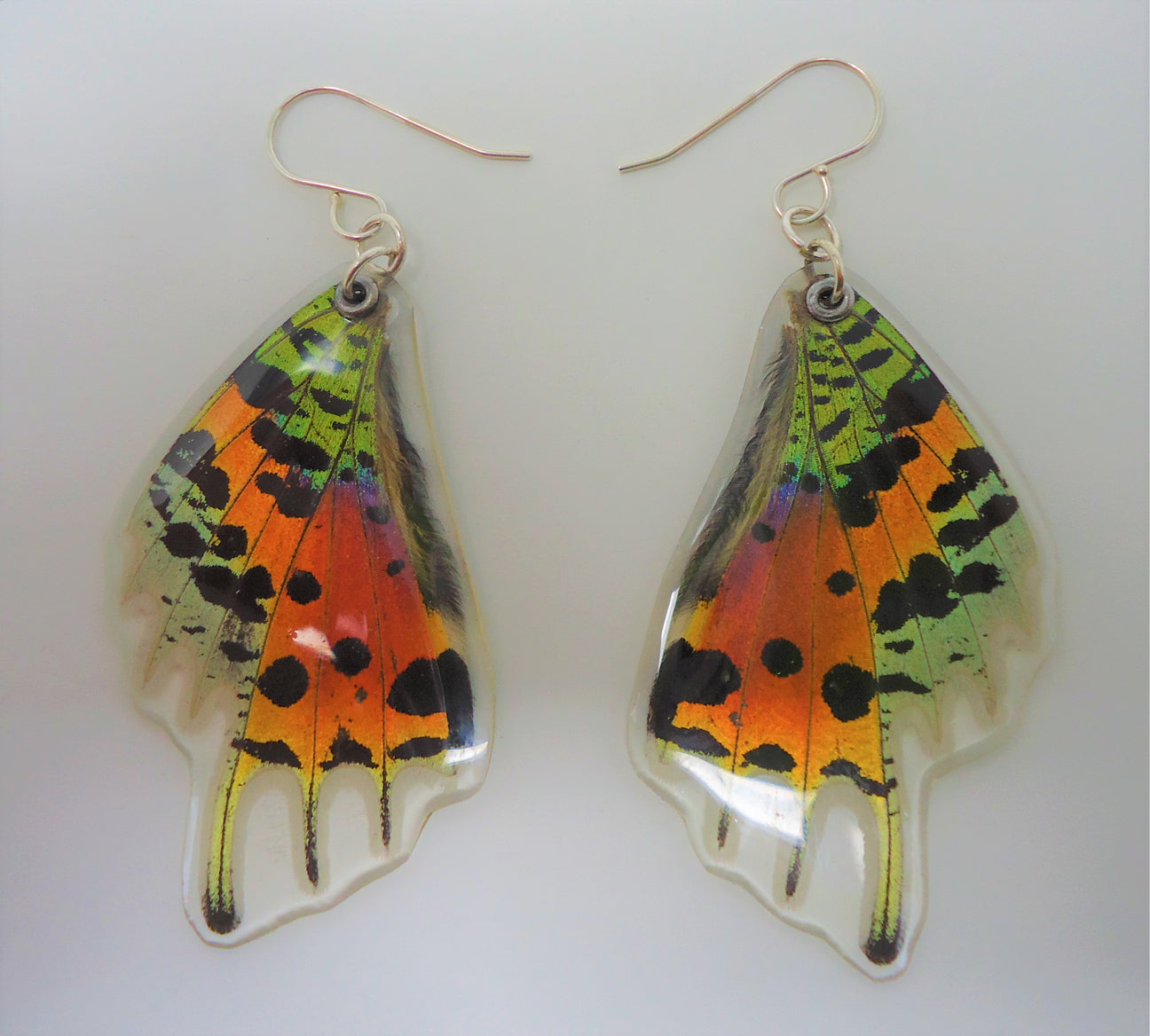 Products Page 14 Sagebrush Butterflies