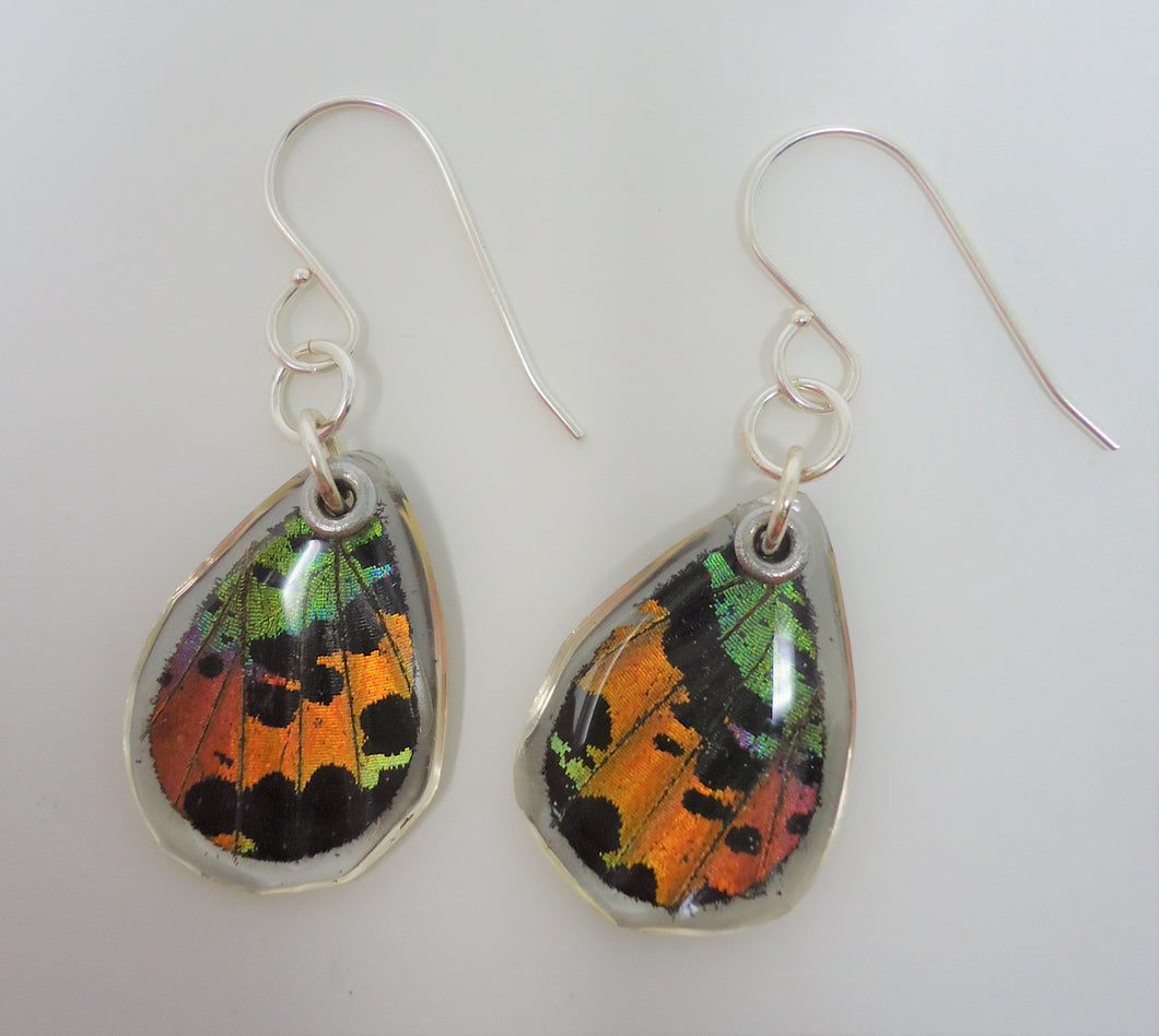 Madagascan Sunset Moth Resin Earrings