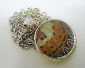 Malay Lacewing Butterfly Double Sided Pendant Necklace