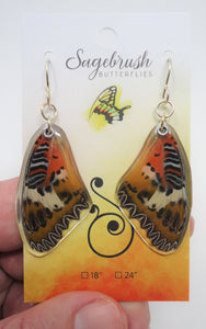 Malay Lacewing Butterfly Resin Earrings