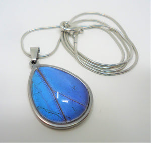 Blue Morpho Pendant Necklace
