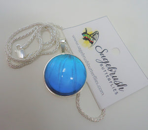 Blue Morpho Sterling Silver Pendant Necklace