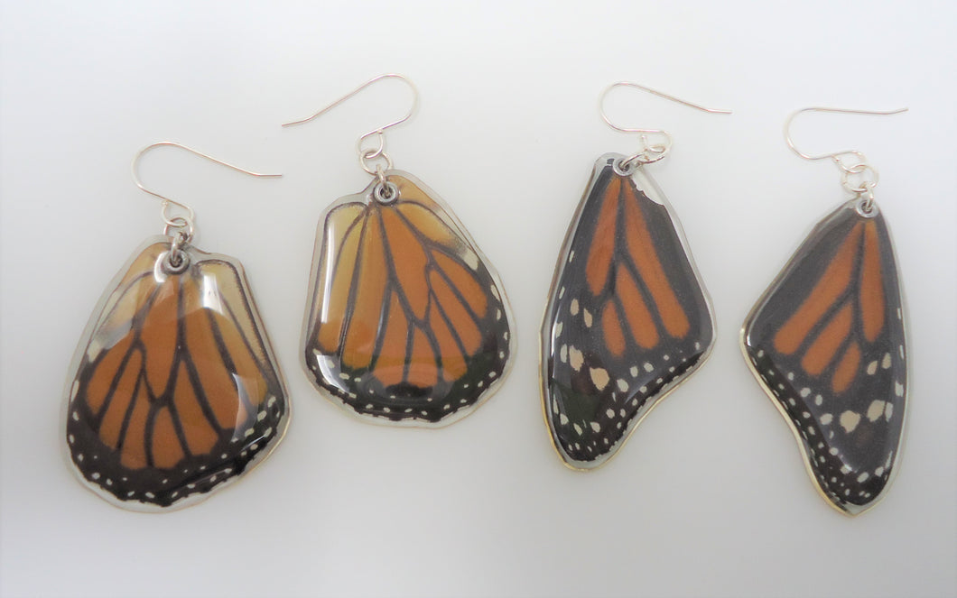 Le Chic Miami - Monarch Butterfly Wings – Revelry Boutique Gallery
