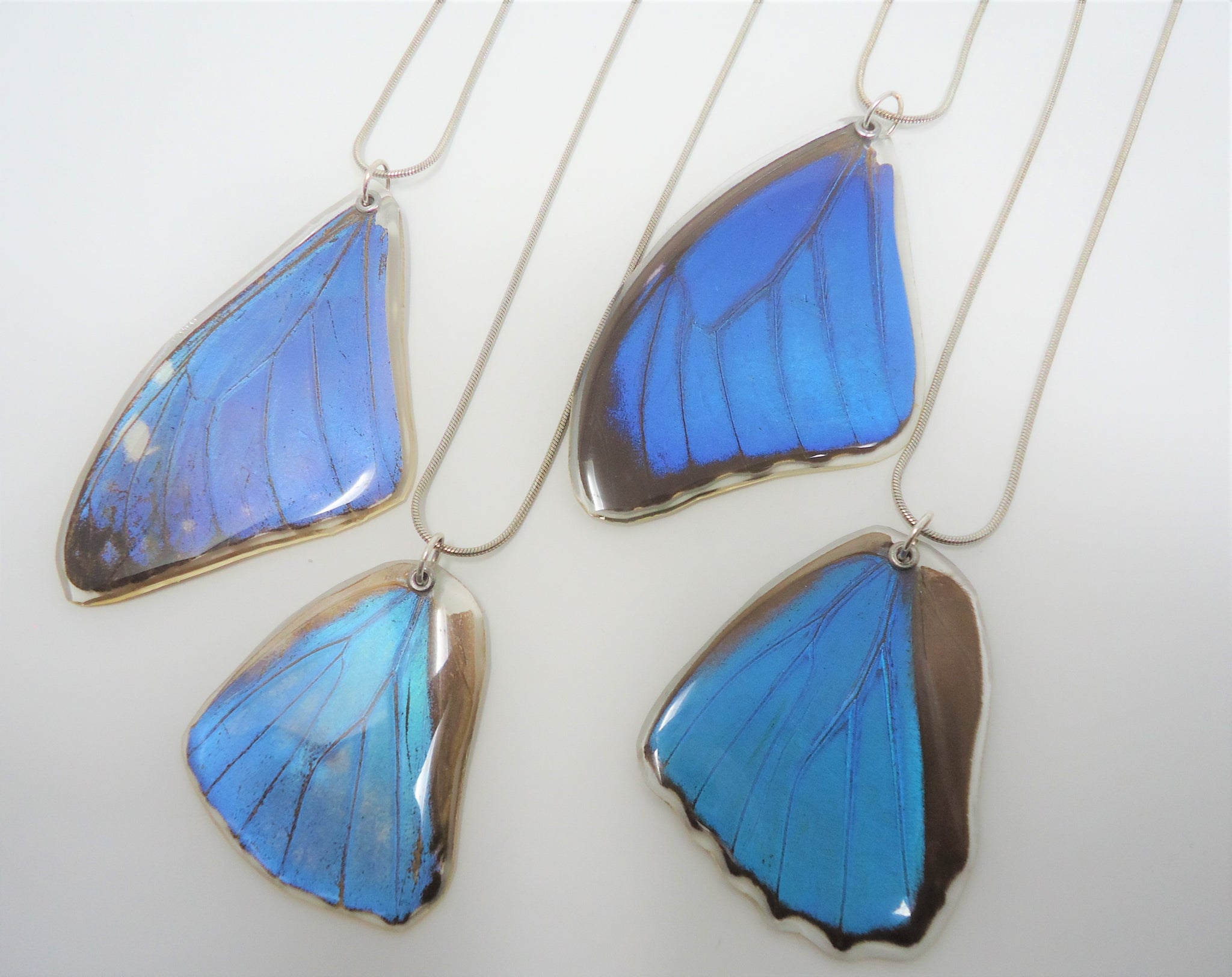 Products Page 4 Sagebrush Butterflies