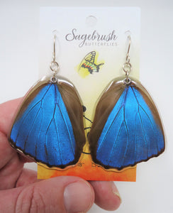 Blue Morpho Butterfly Resin Earrings
