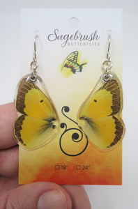 Sulphur Butterfly Resin Earrings