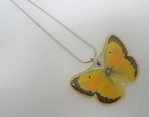 Sulphur Butterfly Resin Necklace