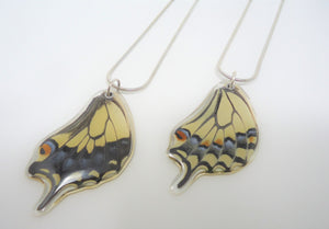 Oregon Swallowtail Butterfly Resin Necklace