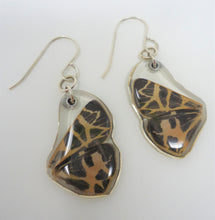 Ornate Tiger Moth Resin Earrings
