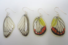 Painted Jezebel Butterfly Resin Earrings