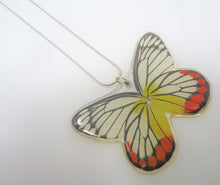 Painted Jezebel Butterfly Resin Necklace